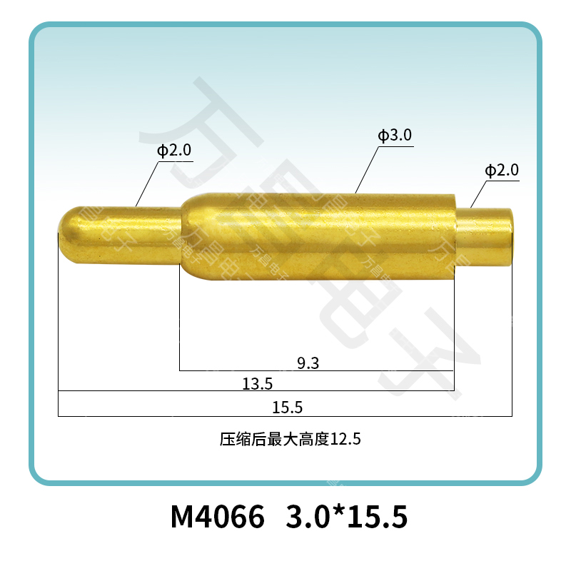 M4066(5A) 3.0*15.5